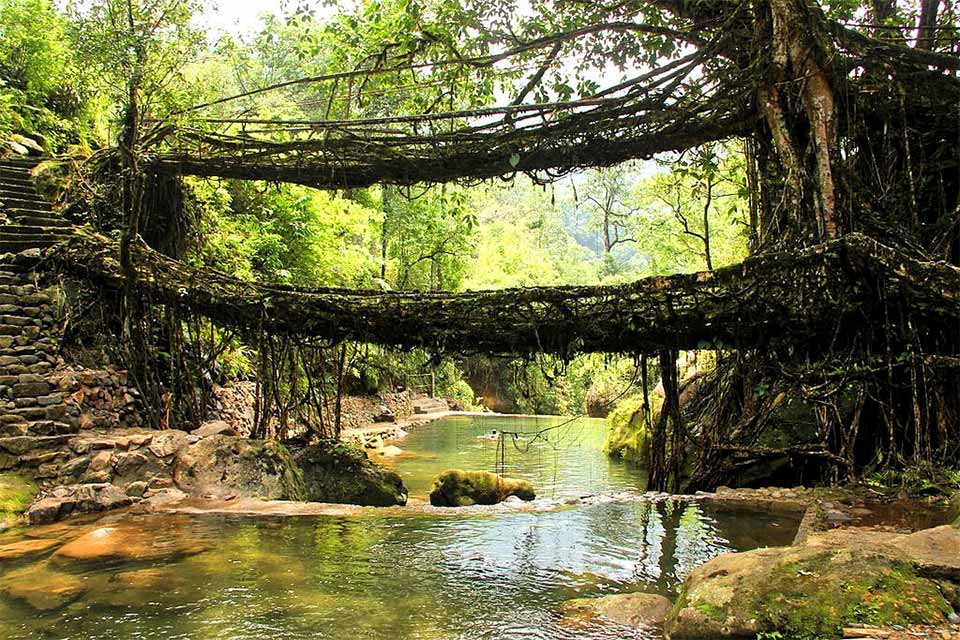 double living root bridge in meghalaya from the side view with a creek flowing from below