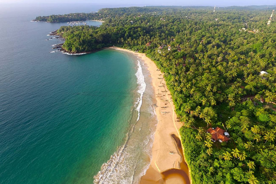 bird eye's view of suryalanka beach surrounded by lush green forest with a lot of coconut trees