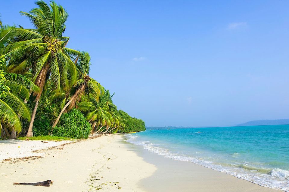 pristine coastline of swaraj dweep covered with dense forest and golden sand